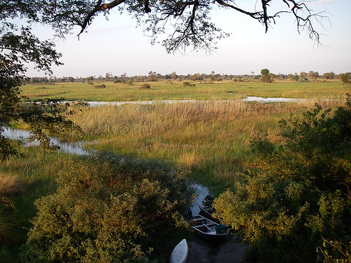 Okavango Delta